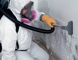 Best Attic Mold Removal  in Soquel, CA